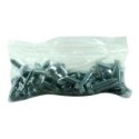 Sachet de 50 vis auto perceuses