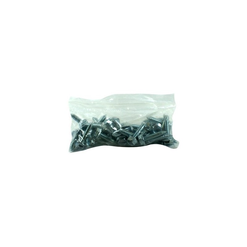 Sachet de 50 vis auto perceuses