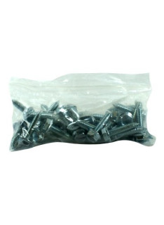 Sachet de 50 vis auto perceuses