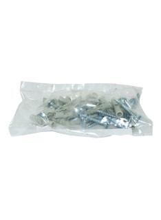 Sachet de 20 chevilles Ø8 et 20 vis de penture 6x45