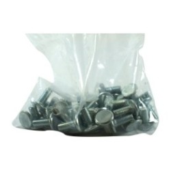 Sachet de 50 vis 19x8 TRCC