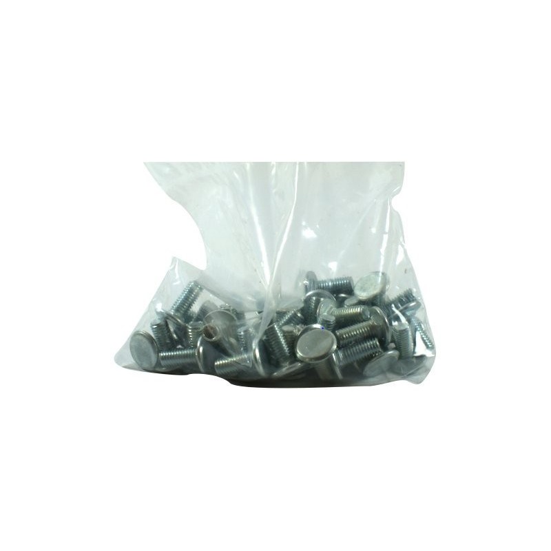 Sachet de 50 vis 19x8 TRCC