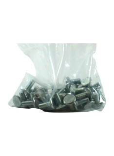 Sachet de 50 vis 19x8 TRCC