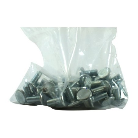 Sachet de 50 vis 19x8 TRCC